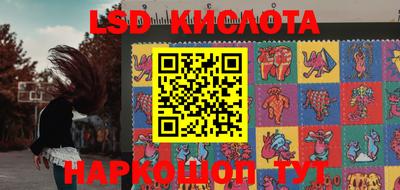 a pvp Новодвинск