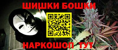 a pvp Новодвинск