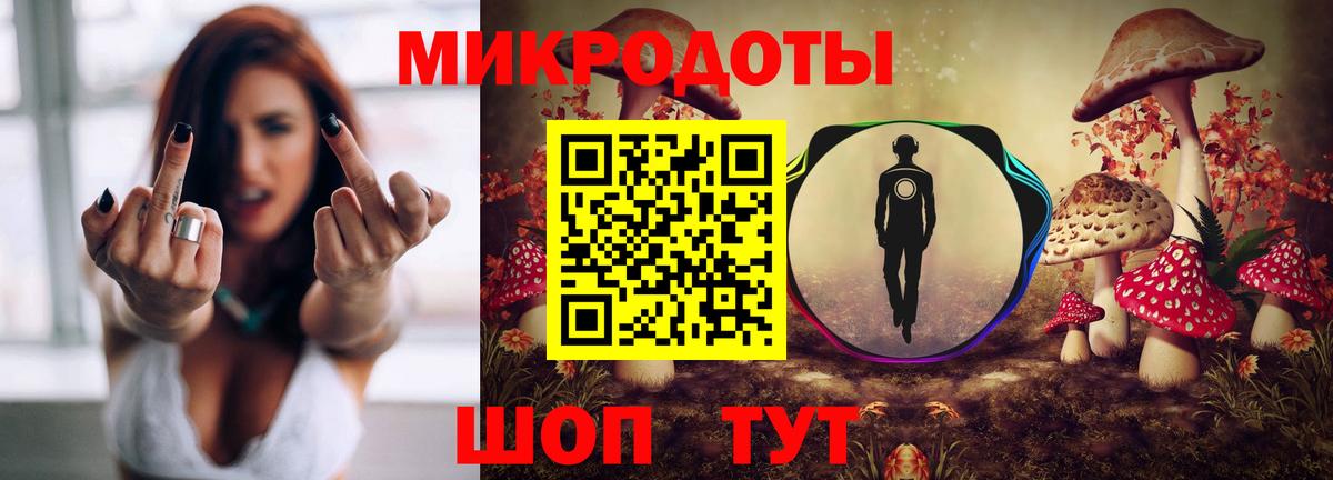 Псилоцибиновые грибы Psilocybine cubensis  Вход с VPN  Узловая 